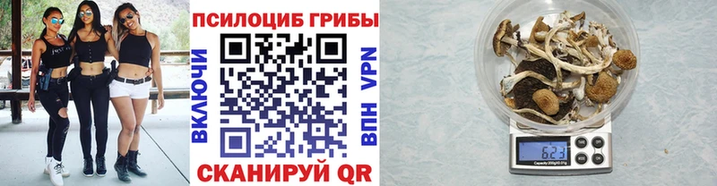 Псилоцибиновые грибы Magic Shrooms  Терек 